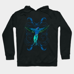 Blue Parrot Hoodie